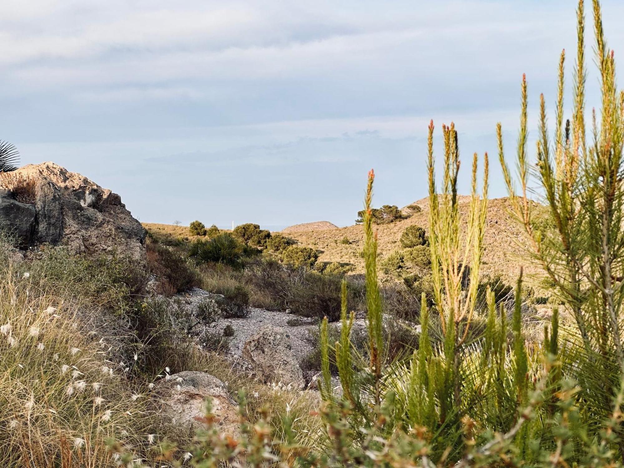 Finca Ocha - Calblanque Los Belones Eksteriør bilde