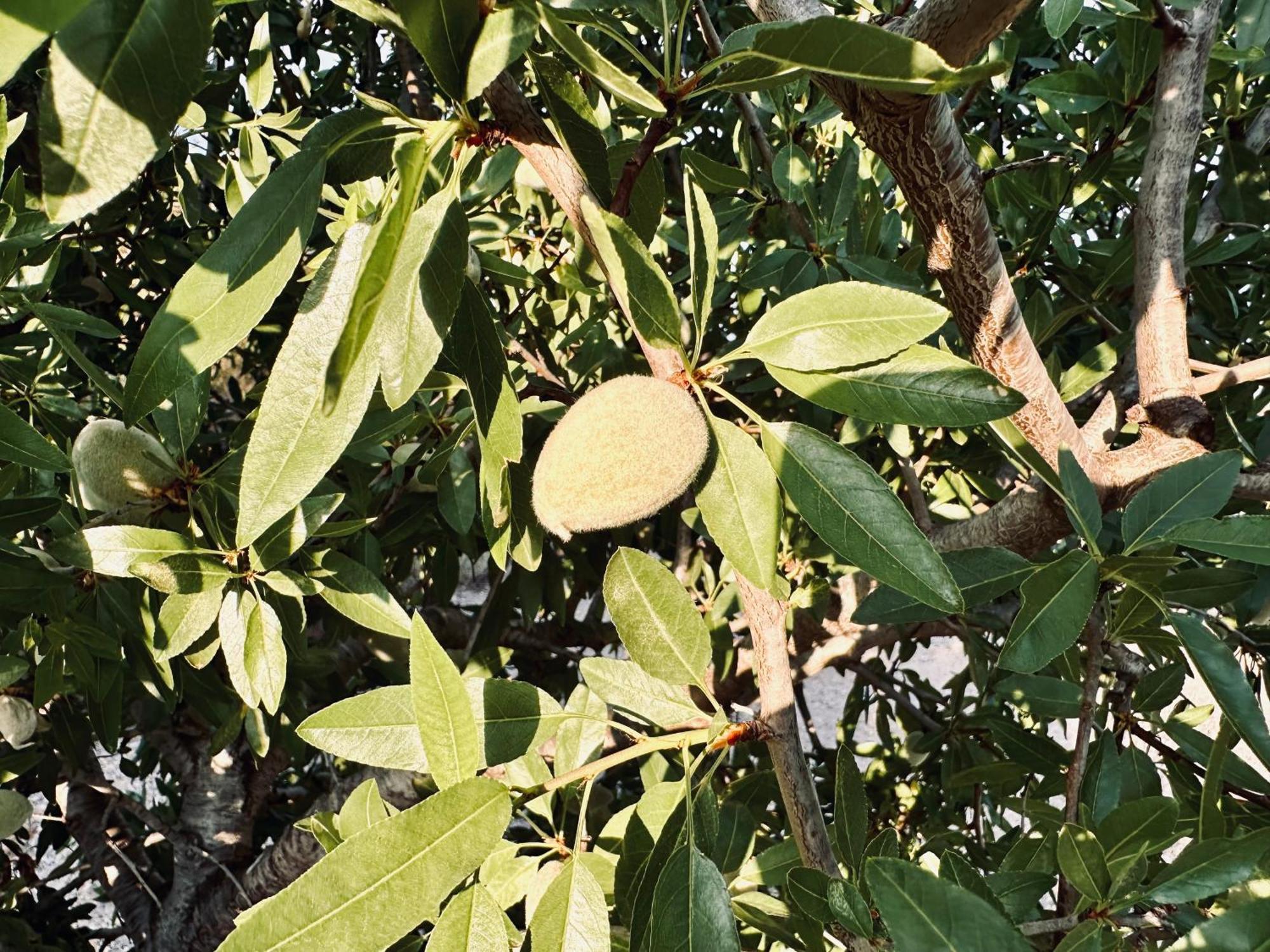 Finca Ocha - Calblanque Los Belones Eksteriør bilde