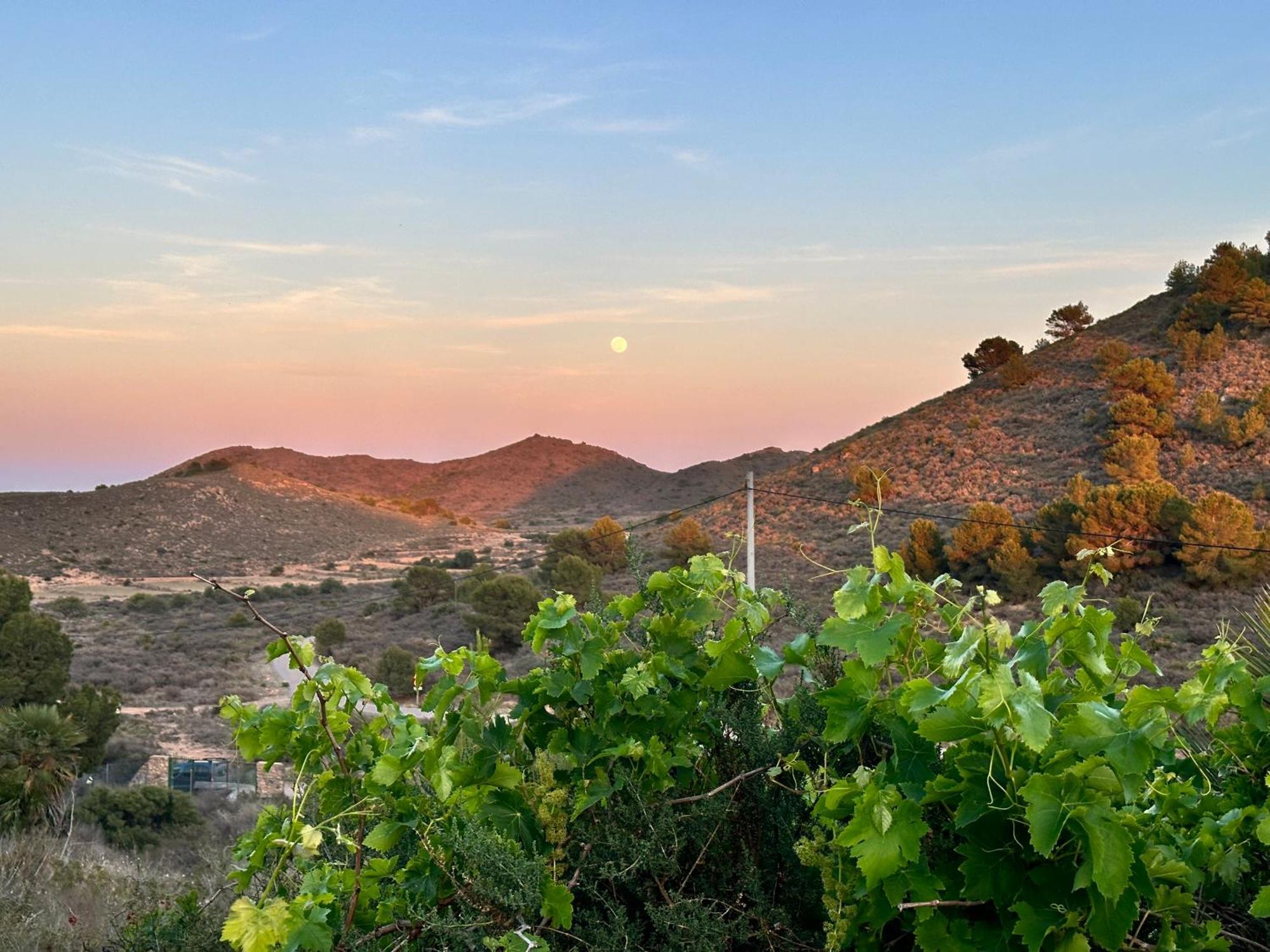 Finca Ocha - Calblanque Los Belones Eksteriør bilde